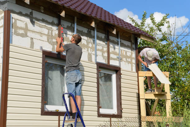 Affordable Siding Repair and Maintenance Services in Petaluma, CA