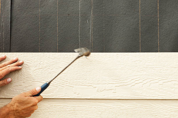 Best Storm Damage Siding Repair  in Petaluma, CA