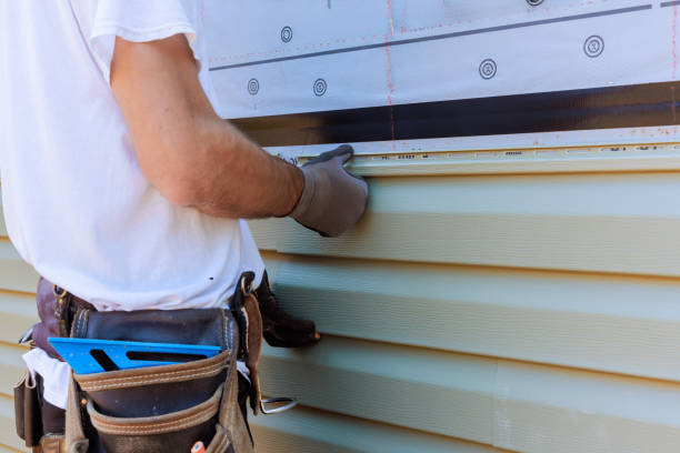 Best Custom Siding Design  in Petaluma, CA